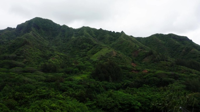 卡哈纳山谷覆盖着夏威夷雨林中的树木。