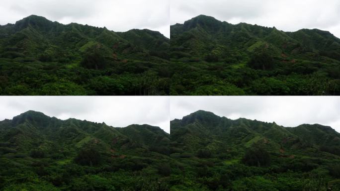 卡哈纳山谷覆盖着夏威夷雨林中的树木。