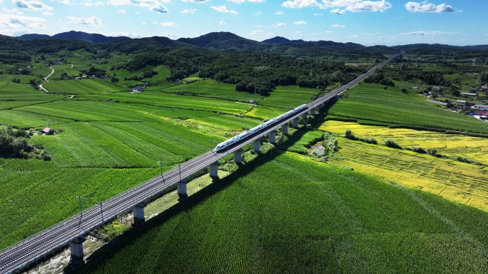 高铁 动车  丰收田野里的高铁 京哈高铁