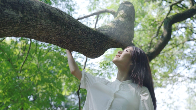 大自然美女意境抚摸大树风感受自然旅游形象