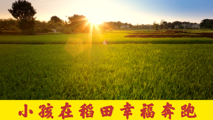 儿童乡村田间奔跑