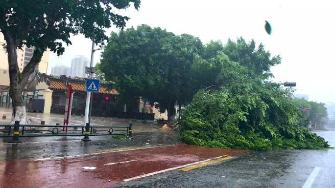 台风摩羯狂风暴雨4k素材