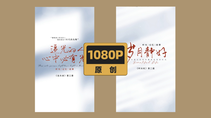 白色光影简约标题片头竖版