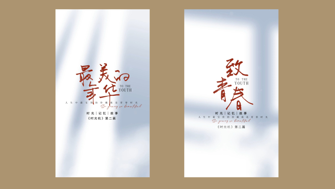 白色光影简约标题片头竖版