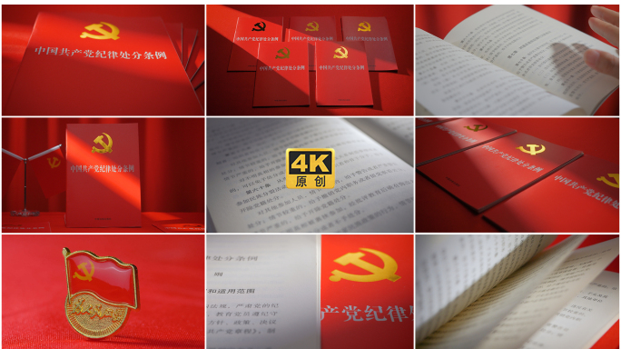 中国共产党纪律处分条例党风建设党建素材