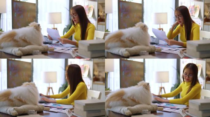 亚洲创意机构女性休闲布工作与新设计的广告媒体出版一边听音乐一边在家工作与她的小白狗博美犬家庭工作室创