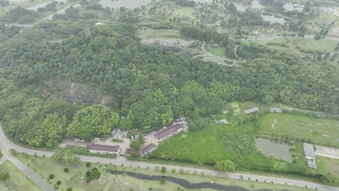 HLG原素材 上海辰山植物园