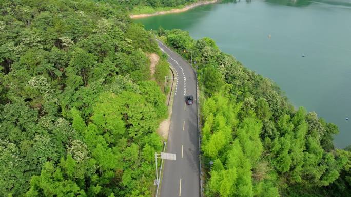 航拍俯视车行驶山林湖边蜿蜒公路 开车旅游