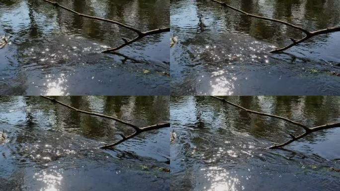 走在河边的小路上