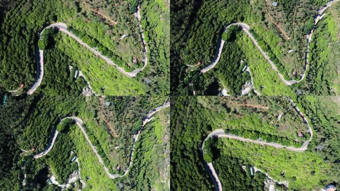 厦门仙岳山公园蜿蜒曲折的山路