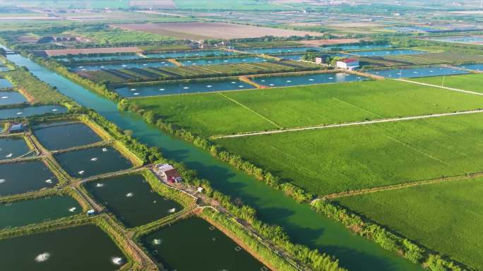 杭州钱塘区大江东生态农业养虾产业基地合集
