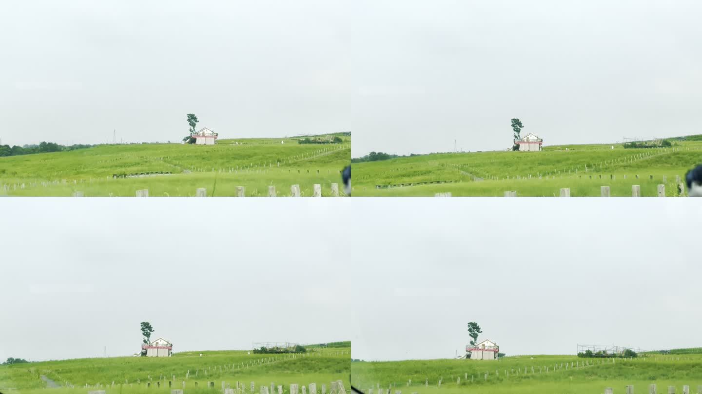 空镜田园小清新  田园风光 草原  草坪