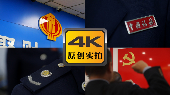 中国税务宣誓形象