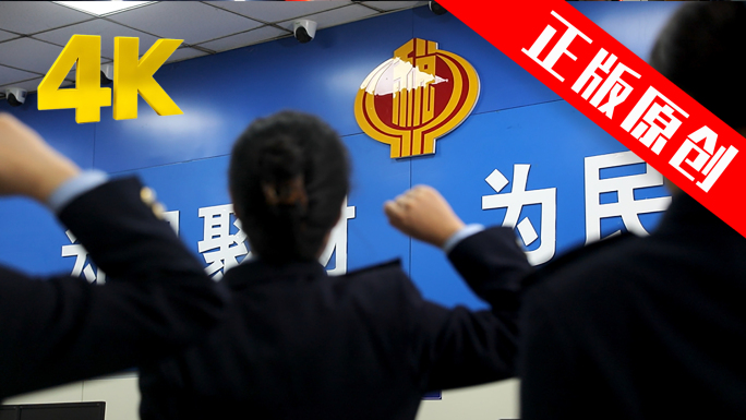 中国税务宣誓形象