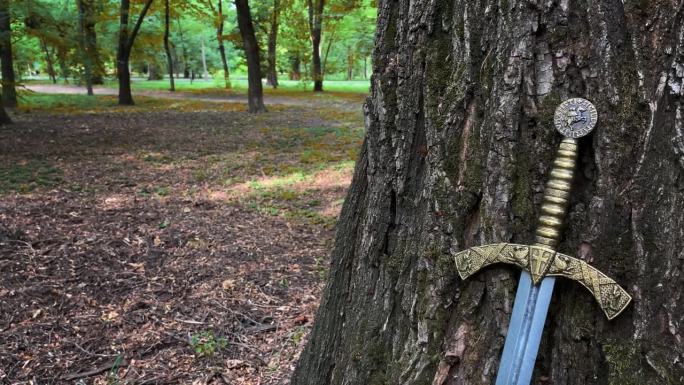 这是一把美丽的中世纪剑，剑柄为青铜，靠近森林中的一棵大树。中世纪工匠的熟练作品。