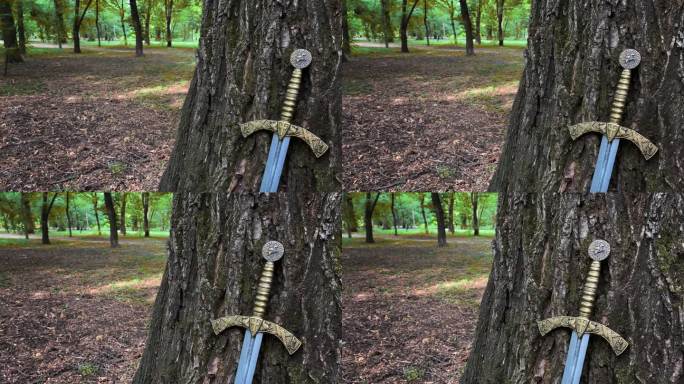 这是一把美丽的中世纪剑，剑柄为青铜，靠近森林中的一棵大树。中世纪工匠的熟练作品。