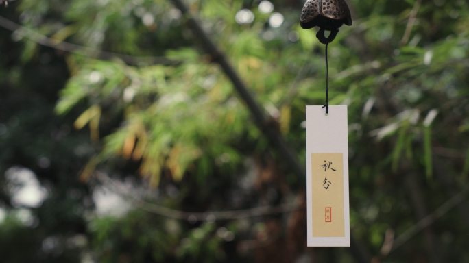 秋分节气  二十四节气  秋分唯美素材