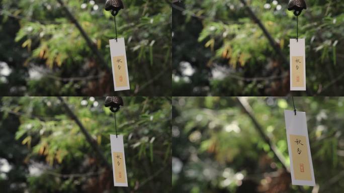秋分节气  二十四节气  秋分唯美素材