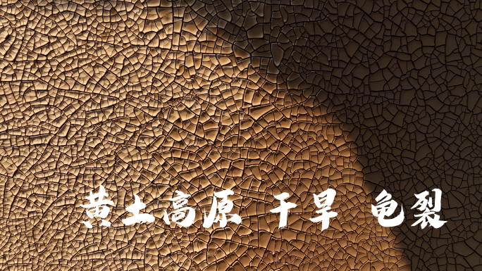 黄土高原干旱 土地龟裂