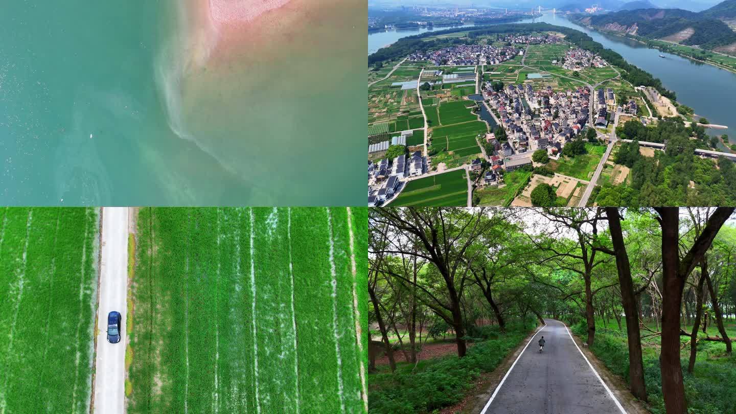 桐洲岛航拍