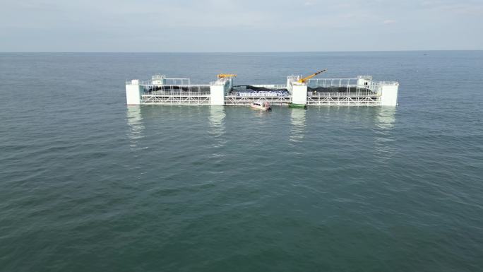 湛江 海威2号 海洋牧场 4k 航拍