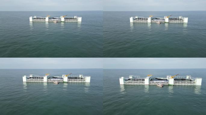 湛江 海威2号 海洋牧场 4k 航拍