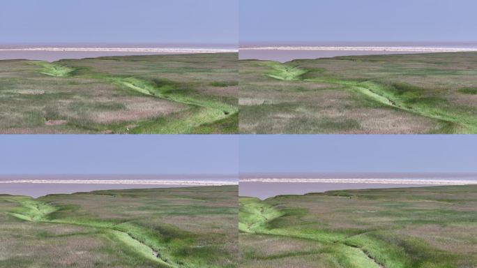 宁波余姚钱塘江潮水起点风光