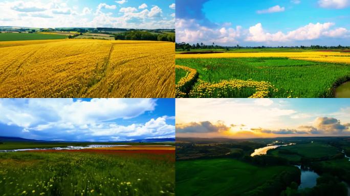 希望的田野上 殷秀梅