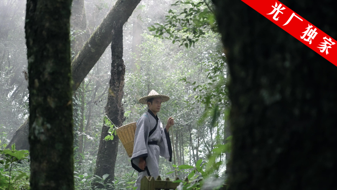 古人在山林里采挖中草药 Slog3