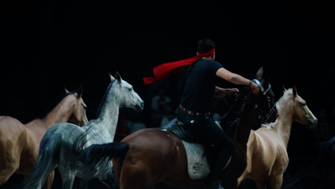 4k新疆汗血宝马基地马场赛马比赛马术表演