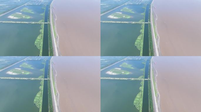 杭州钱塘大湾区湿地公园风光