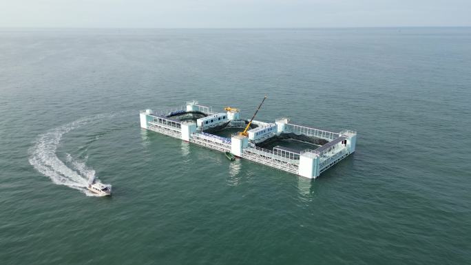 湛江 海威2号 海洋牧场 4k 航拍