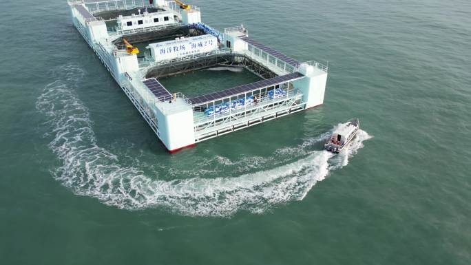 湛江 海威2号 海洋牧场 4k 航拍