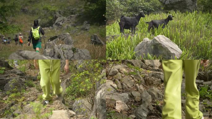 团队徒步户外运动年轻人青春活力