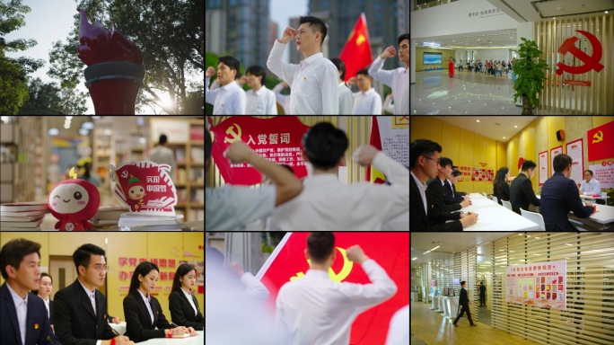 入党宣誓党史学习党建引领党建图书馆