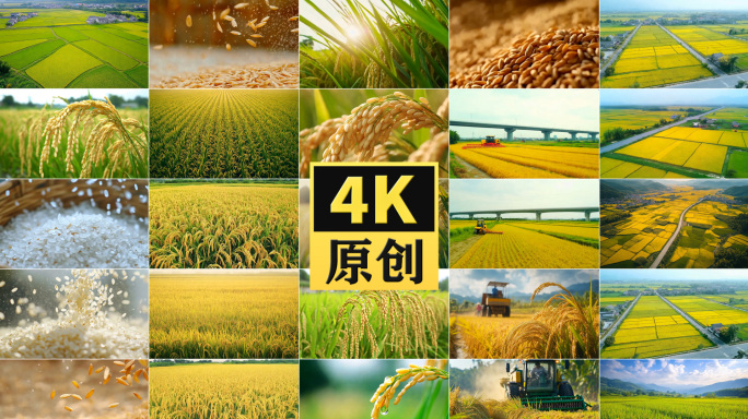 【精品】现代农业 生态农业
