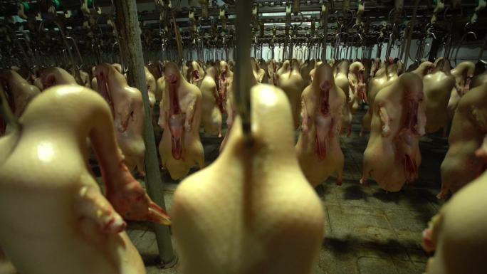 美食加工厂 食品制作 小商品制造