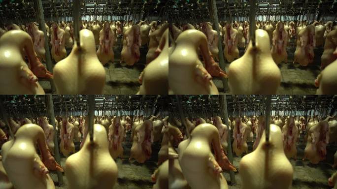 美食加工厂 食品制作 小商品制造