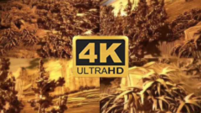 非遗手艺东阳木雕