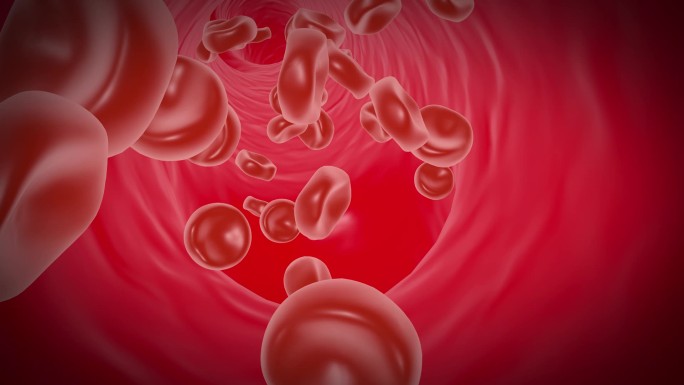 红细胞血管视频
