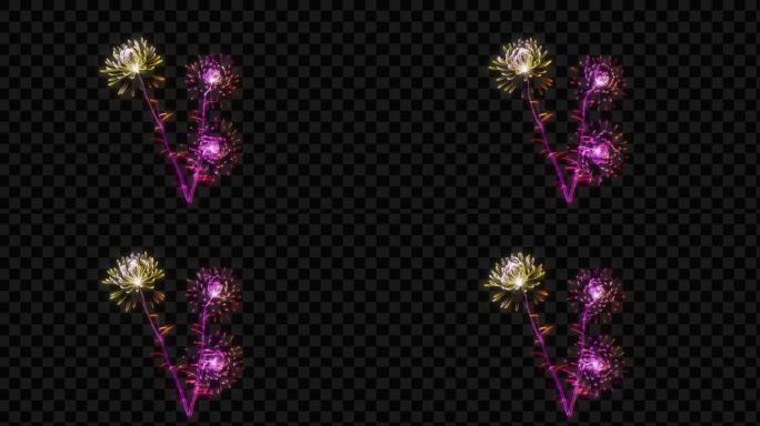 金红色发光全息菊花生长开花-带透明通道