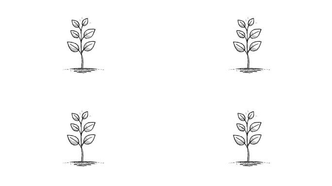 优雅的手绘发芽插图的生态项目