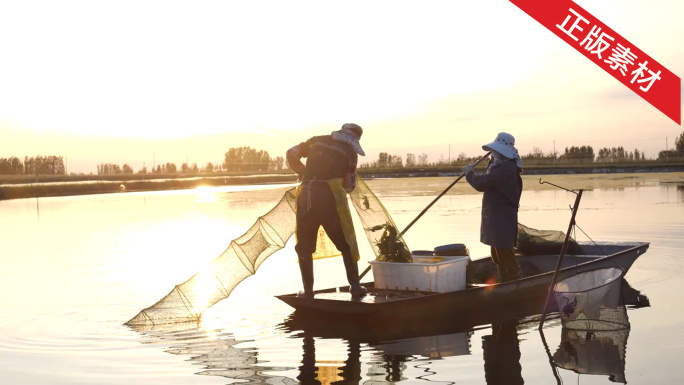 【4k】大闸蟹捕捞 养殖