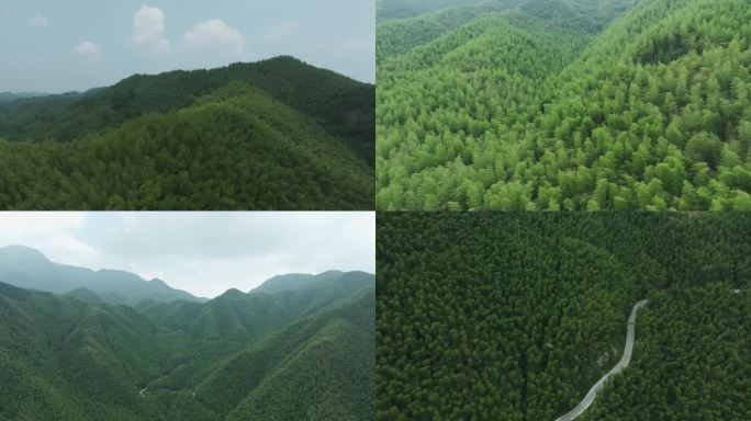 竹林航拍山脉群山唯美航拍