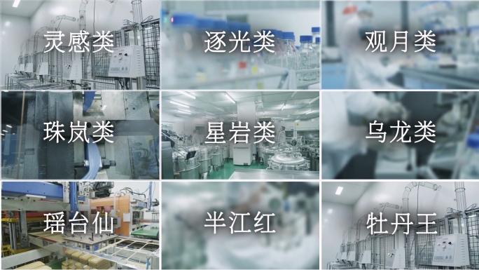 九宫格画中画多屏展示