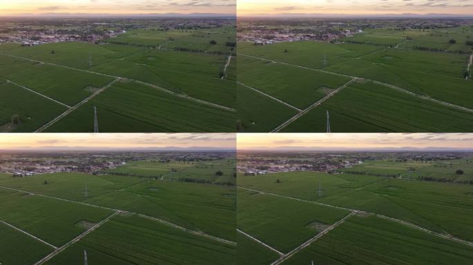 夕阳下的农田玉米地航拍