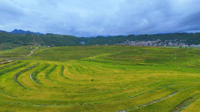 文山城南震撼梯田 田园综合体梯田