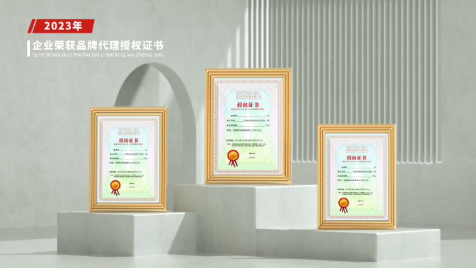 高端简洁企业专利荣誉证书展示