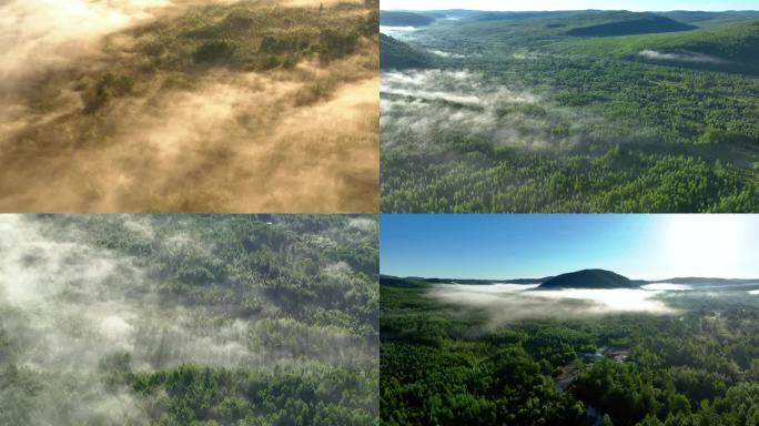 大兴安岭森林晨雾云海日出
