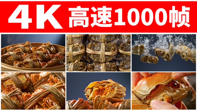 大闸蟹阳澄湖清蒸螃蟹鲜活水中美味蟹黄
